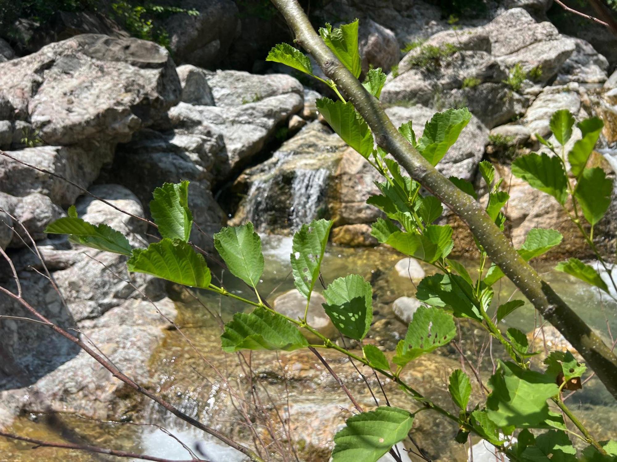 Baven -Toven Naturae Rubik Esterno foto